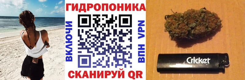 Купить закладку Гашиш  СК  Меф мяу мяу  Приозерск