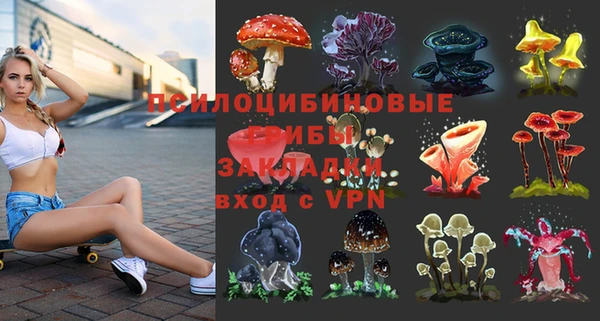 МДПВ Горнозаводск
